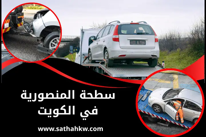 شركة سطحة المنصورية