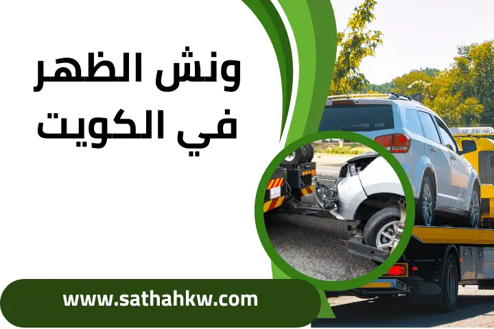 شركة ونش الظهر