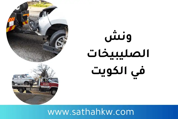 خدمة ونش الصليبيخات