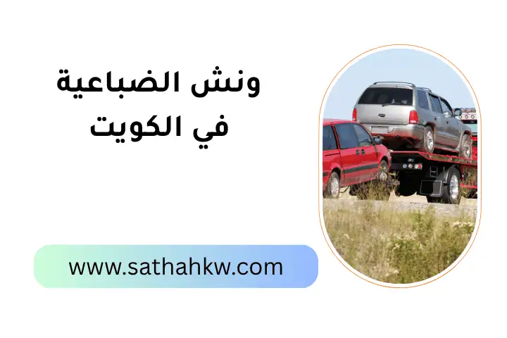 شركة ونش الضباعية